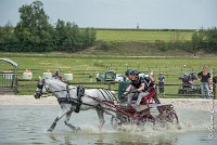 027 D102 - DRESSAGE -ATTELAGE LOUVRES - MARATHON - 28052017-ATE 2495 : 2017, 28 mAI 2017, Concours ATTELAGE 2017, D102, MARATHON, Obstacle 3