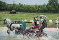 028 D102 - DRESSAGE -ATTELAGE LOUVRES - MARATHON - 28052017-ATE 2496 : 2017, 28 mAI 2017, Concours ATTELAGE 2017, D102, MARATHON, Obstacle 3