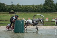 029 D102 - DRESSAGE -ATTELAGE LOUVRES - MARATHON - 28052017-ATE 2497 : 2017, 28 mAI 2017, Concours ATTELAGE 2017, D102, MARATHON, Obstacle 3