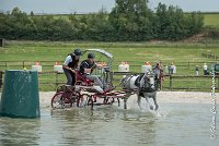 030 D102 - DRESSAGE -ATTELAGE LOUVRES - MARATHON - 28052017-ATE 2498 : 2017, 28 mAI 2017, Concours ATTELAGE 2017, D102, MARATHON, Obstacle 3