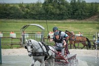 031 D102 - DRESSAGE -ATTELAGE LOUVRES - MARATHON - 28052017-ATE 2499 : 2017, 28 mAI 2017, Concours ATTELAGE 2017, D102, MARATHON, Obstacle 3