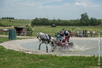 032 D102 - DRESSAGE -ATTELAGE LOUVRES - MARATHON - 28052017-ATE 2500 : 2017, 28 mAI 2017, Concours ATTELAGE 2017, D102, MARATHON, Obstacle 3