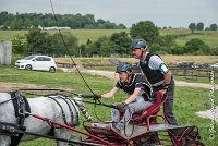 033 D102 - DRESSAGE -ATTELAGE LOUVRES - MARATHON - 28052017-ATE 2501 : 2017, 28 mAI 2017, Concours ATTELAGE 2017, D102, MARATHON, Obstacle 3