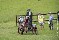 034 D102 - DRESSAGE -ATTELAGE LOUVRES - MARATHON - 28052017-ATE 2503 : 2017, 28 mAI 2017, Concours ATTELAGE 2017, D102, MARATHON