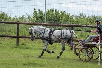 035 D102 - DRESSAGE -ATTELAGE LOUVRES - MARATHON - 28052017-ATE 2507 : 2017, 28 mAI 2017, Concours ATTELAGE 2017, D102, MARATHON