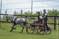 036 D102 - DRESSAGE -ATTELAGE LOUVRES - MARATHON - 28052017-ATE 2508 : 2017, 28 mAI 2017, Concours ATTELAGE 2017, D102, MARATHON