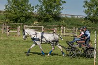 001 D104-ATTELAGE LOUVRES - MARATHON - 28052017-ATE 1737 : 2017, 28 mAI 2017, Concours ATTELAGE 2017, D104, MARATHON