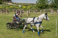 003 D104-ATTELAGE LOUVRES - MARATHON - 28052017-ATE 1762 : 2017, 28 mAI 2017, Concours ATTELAGE 2017, D104, MARATHON, Obstacle 3