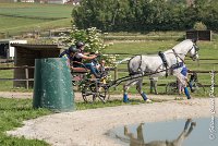 004 D104-ATTELAGE LOUVRES - MARATHON - 28052017-ATE 1764 : 2017, 28 mAI 2017, Concours ATTELAGE 2017, D104, MARATHON, Obstacle 3