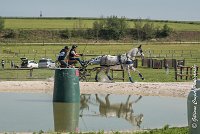 006 D104-ATTELAGE LOUVRES - MARATHON - 28052017-ATE 1766 : 2017, 28 mAI 2017, Concours ATTELAGE 2017, D104, MARATHON, Obstacle 3