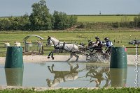 010 D104-ATTELAGE LOUVRES - MARATHON - 28052017-ATE 1770 : 2017, 28 mAI 2017, Concours ATTELAGE 2017, D104, MARATHON, Obstacle 3