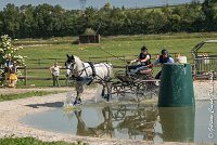 011 D104-ATTELAGE LOUVRES - MARATHON - 28052017-ATE 1771 : 2017, 28 mAI 2017, Concours ATTELAGE 2017, D104, MARATHON, Obstacle 3