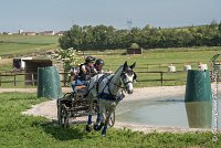 014 D104-ATTELAGE LOUVRES - MARATHON - 28052017-ATE 1774 : 2017, 28 mAI 2017, Concours ATTELAGE 2017, D104, MARATHON, Obstacle 3