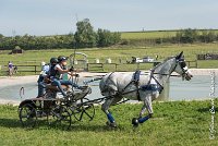 015 D104-ATTELAGE LOUVRES - MARATHON - 28052017-ATE 1775 : 2017, 28 mAI 2017, Concours ATTELAGE 2017, D104, MARATHON, Obstacle 3