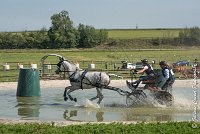 017 D104-ATTELAGE LOUVRES - MARATHON - 28052017-ATE 1778 : 2017, 28 mAI 2017, Concours ATTELAGE 2017, D104, MARATHON, Obstacle 3