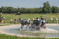 019 D104-ATTELAGE LOUVRES - MARATHON - 28052017-ATE 1779 : 2017, 28 mAI 2017, Concours ATTELAGE 2017, D104, MARATHON, Obstacle 3