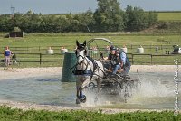 025 D104-ATTELAGE LOUVRES - MARATHON - 28052017-ATE 1785 : 2017, 28 mAI 2017, Concours ATTELAGE 2017, D104, MARATHON, Obstacle 3