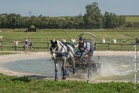 026 D104-ATTELAGE LOUVRES - MARATHON - 28052017-ATE 1786 : 2017, 28 mAI 2017, Concours ATTELAGE 2017, D104, MARATHON, Obstacle 3