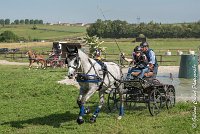 027 D104-ATTELAGE LOUVRES - MARATHON - 28052017-ATE 1787 : 2017, 28 mAI 2017, Concours ATTELAGE 2017, D104, MARATHON, Obstacle 3