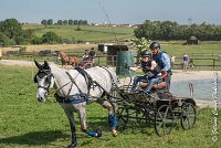 028 D104-ATTELAGE LOUVRES - MARATHON - 28052017-ATE 1788 : 2017, 28 mAI 2017, Concours ATTELAGE 2017, D104, MARATHON, Obstacle 3