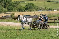 031 D104-ATTELAGE LOUVRES - MARATHON - 28052017-ATE 1797 : 2017, 28 mAI 2017, Concours ATTELAGE 2017, D104, MARATHON, Obstacle 4