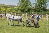 032 D104-ATTELAGE LOUVRES - MARATHON - 28052017-ATE 1798 : 2017, 28 mAI 2017, Concours ATTELAGE 2017, D104, MARATHON, Obstacle 4