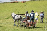 033 D104-ATTELAGE LOUVRES - MARATHON - 28052017-ATE 1799 : 2017, 28 mAI 2017, Concours ATTELAGE 2017, D104, MARATHON, Obstacle 4