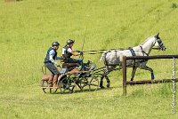 034 D104-ATTELAGE LOUVRES - MARATHON - 28052017-ATE 1800 : 2017, 28 mAI 2017, Concours ATTELAGE 2017, D104, MARATHON, Obstacle 4