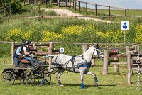 035 D104-ATTELAGE LOUVRES - MARATHON - 28052017-ATE 1802 : 2017, 28 mAI 2017, Concours ATTELAGE 2017, D104, MARATHON, Obstacle 4