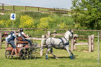 036 D104-ATTELAGE LOUVRES - MARATHON - 28052017-ATE 1803 : 2017, 28 mAI 2017, Concours ATTELAGE 2017, D104, MARATHON, Obstacle 4