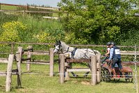 038 D104-ATTELAGE LOUVRES - MARATHON - 28052017-ATE 1806 : 2017, 28 mAI 2017, Concours ATTELAGE 2017, D104, MARATHON, Obstacle 4