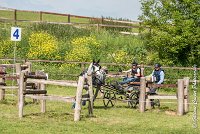 039 D104-ATTELAGE LOUVRES - MARATHON - 28052017-ATE 1807 : 2017, 28 mAI 2017, Concours ATTELAGE 2017, D104, MARATHON, Obstacle 4