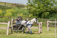 040 D104-ATTELAGE LOUVRES - MARATHON - 28052017-ATE 1808 : 2017, 28 mAI 2017, Concours ATTELAGE 2017, D104, MARATHON, Obstacle 4