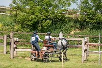 041 D104-ATTELAGE LOUVRES - MARATHON - 28052017-ATE 1809 : 2017, 28 mAI 2017, Concours ATTELAGE 2017, D104, MARATHON, Obstacle 4