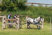 042 D104-ATTELAGE LOUVRES - MARATHON - 28052017-ATE 1810 : 2017, 28 mAI 2017, Concours ATTELAGE 2017, D104, MARATHON, Obstacle 4