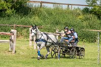 045 D104-ATTELAGE LOUVRES - MARATHON - 28052017-ATE 1813 : 2017, 28 mAI 2017, Concours ATTELAGE 2017, D104, MARATHON, Obstacle 4