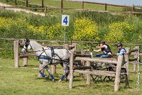 047 D104-ATTELAGE LOUVRES - MARATHON - 28052017-ATE 1817 : 2017, 28 mAI 2017, Concours ATTELAGE 2017, D104, MARATHON, Obstacle 4