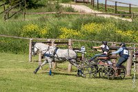 048 D104-ATTELAGE LOUVRES - MARATHON - 28052017-ATE 1818 : 2017, 28 mAI 2017, Concours ATTELAGE 2017, D104, MARATHON, Obstacle 4