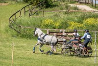 049 D104-ATTELAGE LOUVRES - MARATHON - 28052017-ATE 1819 : 2017, 28 mAI 2017, Concours ATTELAGE 2017, D104, MARATHON, Obstacle 4