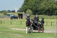 001 DRESSAGE - ATTELAGE - 27052017-GAL 0605 : 2017, 27 Mai 2017, Concours ATTELAGE 2017, D105, DR01, Dressage