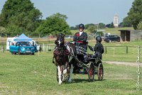 002 DRESSAGE - ATTELAGE - 27052017-GAL 0606 : 2017, 27 Mai 2017, Concours ATTELAGE 2017, D105, DR01, Dressage