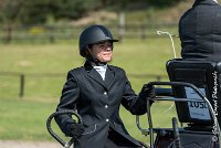 004 DRESSAGE - ATTELAGE - 27052017-GAL 0609 : 2017, 27 Mai 2017, Concours ATTELAGE 2017, D105, DR01, Dressage