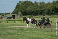 005 DRESSAGE - ATTELAGE - 27052017-GAL 0610 : 2017, 27 Mai 2017, Concours ATTELAGE 2017, D105, DR01, Dressage