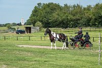 006 DRESSAGE - ATTELAGE - 27052017-GAL 0611 : 2017, 27 Mai 2017, Concours ATTELAGE 2017, D105, DR01, Dressage