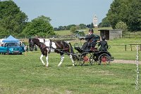 007 DRESSAGE - ATTELAGE - 27052017-GAL 0612 : 2017, 27 Mai 2017, Concours ATTELAGE 2017, D105, DR01, Dressage