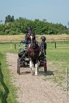 008 DRESSAGE - ATTELAGE - 27052017-GAL 0613 : 2017, 27 Mai 2017, Concours ATTELAGE 2017, D105, DR01, Dressage