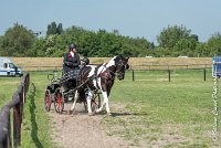 010 DRESSAGE - ATTELAGE - 27052017-GAL 0615 : 2017, 27 Mai 2017, Concours ATTELAGE 2017, D105, DR01, Dressage