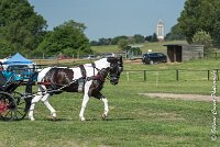 011 DRESSAGE - ATTELAGE - 27052017-GAL 0616 : 2017, 27 Mai 2017, Concours ATTELAGE 2017, D105, DR01, Dressage