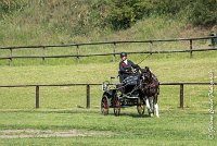 012 DRESSAGE - ATTELAGE - 27052017-GAL 0617 : 2017, 27 Mai 2017, Concours ATTELAGE 2017, D105, DR01, Dressage