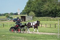 014 DRESSAGE - ATTELAGE - 27052017-GAL 0621 : 2017, 27 Mai 2017, Concours ATTELAGE 2017, D105, DR01, Dressage